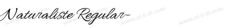Naturaliste Regular字体转换 Naturaliste Regular字体转换